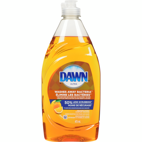 dawn 473